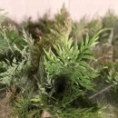 숙이농장 이미지