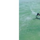 비치노래연습장 이미지