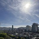 소중한 개 | [수지구 산후조리원 추천] 베베포레스트에서 보낸 소중한 2주 후기