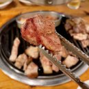 불타는꽃돼지 이미지