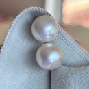진주귀걸이 알리익스프레스 내돈내산 직구 후기 - 13mm 유핵담수진주 귀걸이