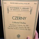 대상체르니 이미지