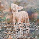 다울에듀 이미지