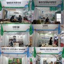 담연채 이미지