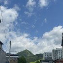 영월 인 더 나이트 | [영월/정선] 1박 2일 여행 (영월서부시장, 정선 카지노, 하이원리조트, 물닭갈비..)