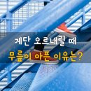 서*모