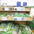 천지원 농장 이미지