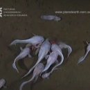 바다속이야기 이미지