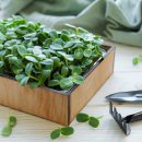 금정농장 이미지