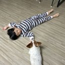이리별나라어린이집 놀이터 | 4월의 기록- 오락가락하는 날씨처럼 내 마음도 오락가락
