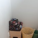 창원서울산부인과 네이버블로그