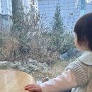 화원목장 | 대구 제빵 명인 화원 베이커리 카페 포레스트 헤리티지 대형트리 크리스마스 케이크 눈오는 카페