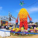 파주장단콩두부 이미지