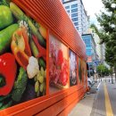미래마켓24