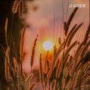 금성리빙텔 이미지