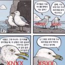 요미조미 이미지