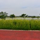 팽성대교길 티스토리