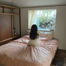 제주피움 | 제주 동쪽 감성 독채 숙소 추천 : 코타제주