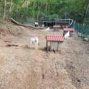 울산농장 이미지