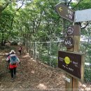 내곡동437 이미지