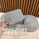 머리하는날만성점 - 전주시 덕진구 만성동로 47 | 에센디르 경추베개 후기ㅣ일자목 육아맘의 숙면 찾은 2주 기록