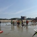 마시안어촌계 | [아이와 영종도여행] 마시안해변 조개캐기, 서울 근교 갯벌체험, 광판팔뚝김밥, 인스파이어 미디어아트쇼