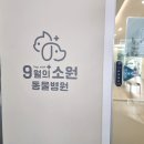 소원동물병원 이미지