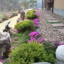 풍경시골 이미지