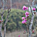 세경문화사