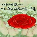한주 이미지