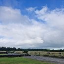 팜팜스테이 이미지