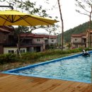 스파펜션엘라고 이미지