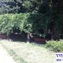 삼계리공원 놀이터 이미지