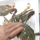 조은수산 이미지