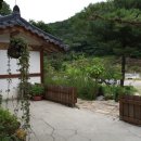 약선오리 이미지