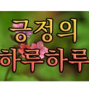 봉래산주차장 이미지