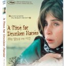 ROJIN(로진) 이미지