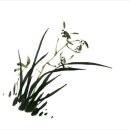 캘리수묵화 이미지