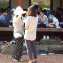 대구경동초등학교 Daum카페