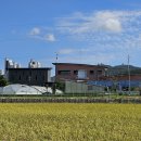 서산회관 이미지