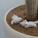 소소도자기공방 이미지