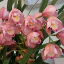 일지 브레인 아트 갤러리 카페 이미지