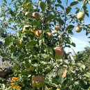 욱이네 농장 이미지