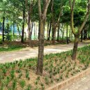 동백고등학교 이미지