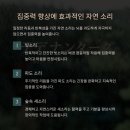 숲속파도소리 이미지