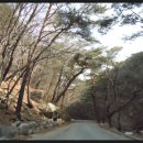 팔공산올레길 7코스 이미지