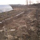 오산농장2 이미지