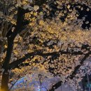 하남초정문2 이미지