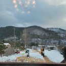 헬로우댕댕 이미지