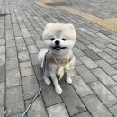멈무살롱 이미지